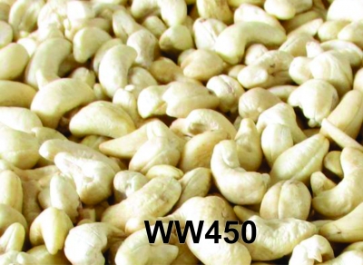 Kernel cashew nut - WW450
