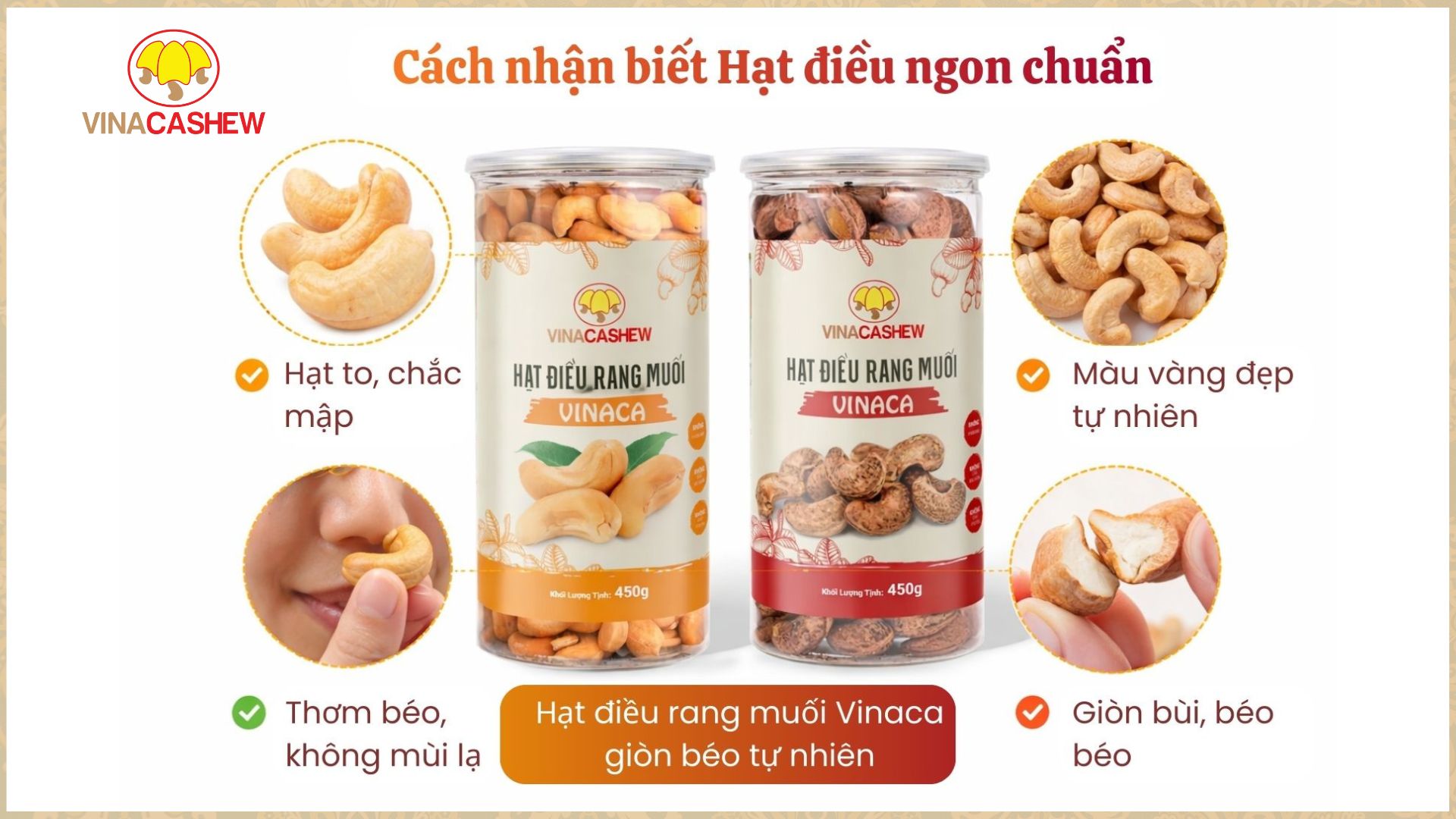 Người nông dân làm giàu từ cây điều như thế nào? Hạt điều ngon